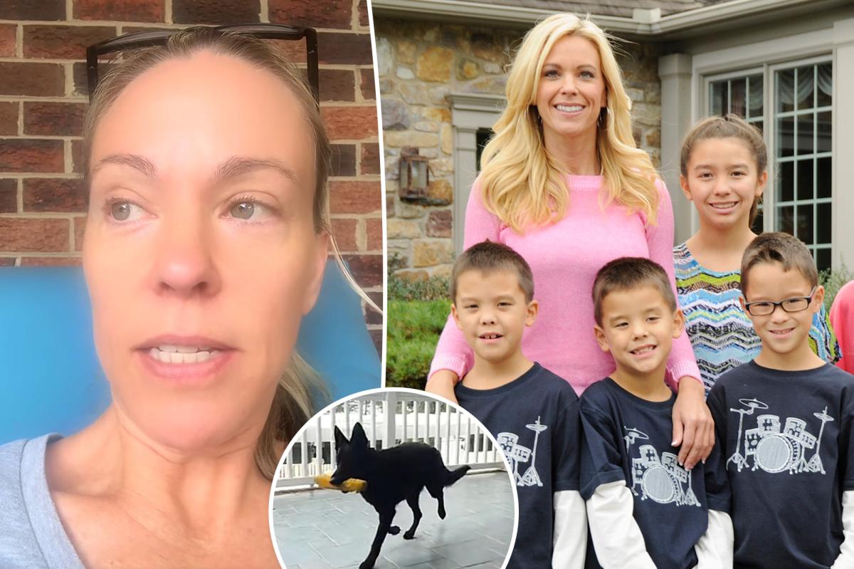 Kate Gosselin Appears Unfazed by Son Collin's Upcoming Memoir, Focuses on Rescue Dog