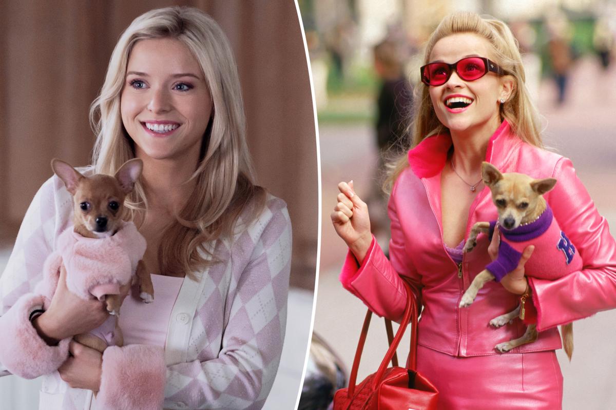 Review: 'Elle' Prequel Series Exceeds Expectations for Legally Blonde Fans