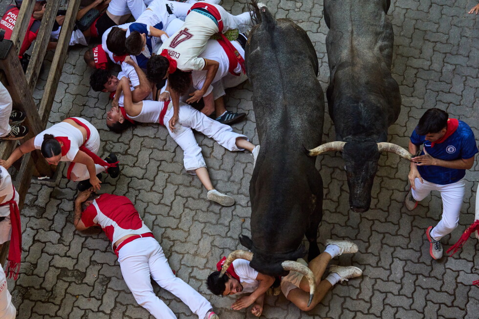San Fermin Bull Run Sees Face Goring Amidst Festival Chaos